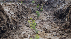 ГУЮ Минского облисполкома за рациональное использование лесных ресурсов!