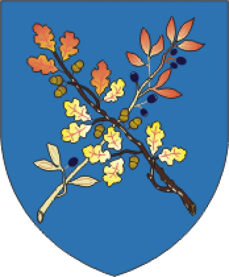 Герб дзержинска. Герб Дзержинска (Минская область). Герб Дзержинска Беларусь. Дзержинск герб и флаг. Герб города Дзержинский.