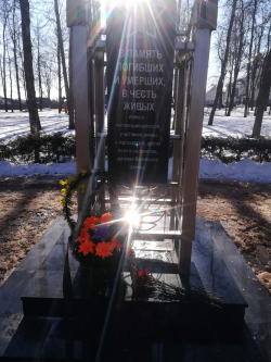 В канун Дня памяти воинов-интернационалистов